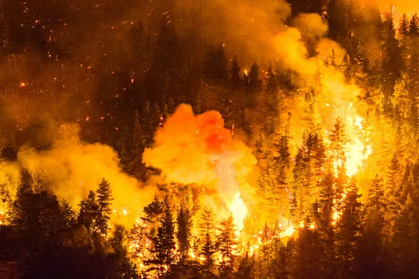 Incendi in Patagonia, oltre al danno ambientale c’è pure la beffa del complotto antisemita