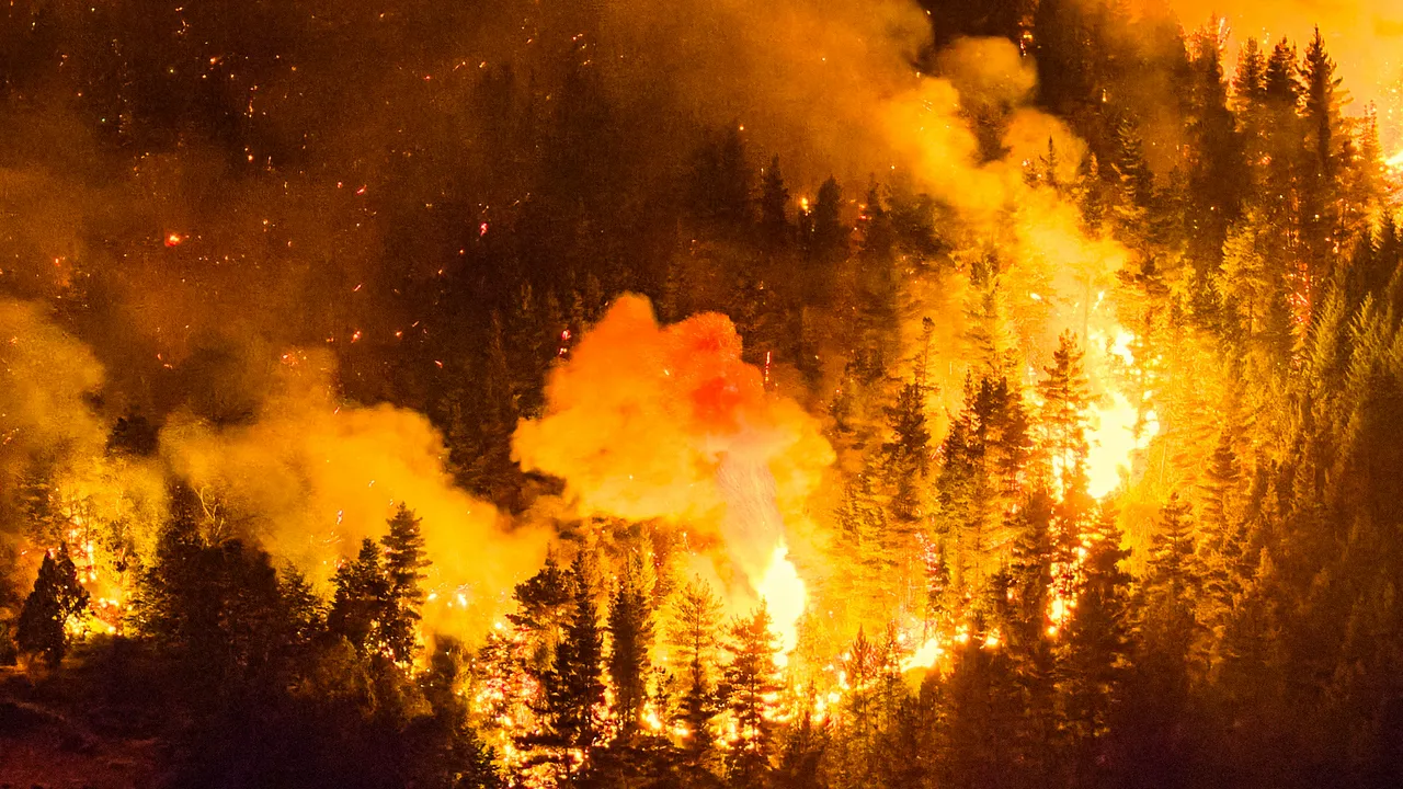 Incendi in Patagonia, oltre al danno ambientale c’è pure la beffa del complotto antisemita