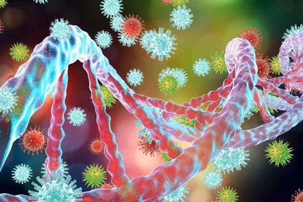 Il virus Epstein Barr è innocuo o è un fattore di rischio per tantissime malattie? La risposta è dipende (dalla genetica)