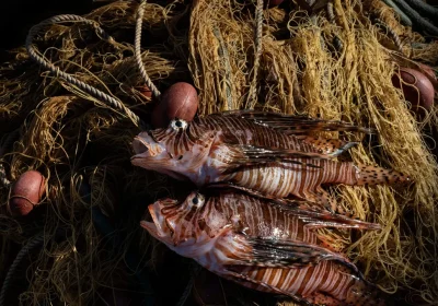 Di chi è il Mediterraneo? Viaggio nell’hotspot con una mostra interattiva in grado di recuperare il senso di appartenenza