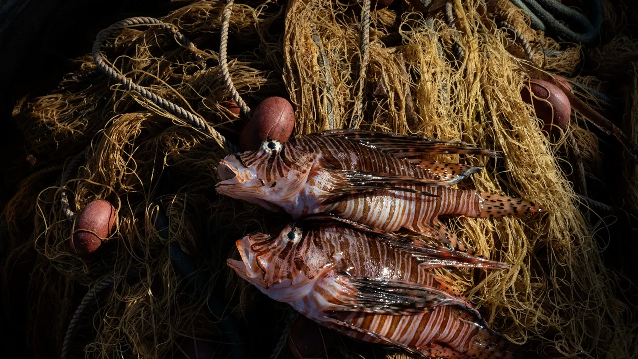 Di chi è il Mediterraneo? Viaggio nell’hotspot con una mostra interattiva in grado di recuperare il senso di appartenenza