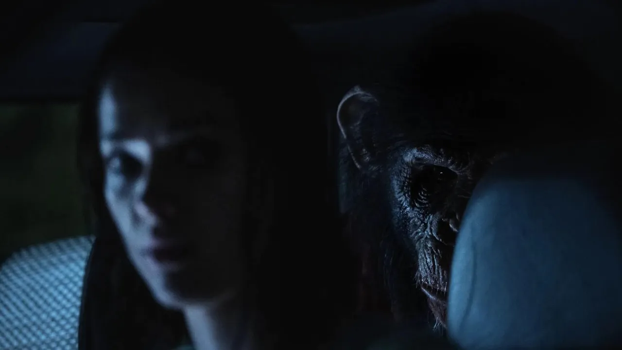 La vendetta di uno scimpanzé cresciuto come un giocattolo, Ben – Rabbia animale è l’horror slasher che ti fa tifare per l’assassino