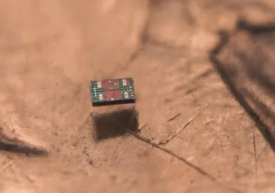 Questo robot è più piccolo di un granello di sale, ma si muove in autonomia e sa anche nuotare