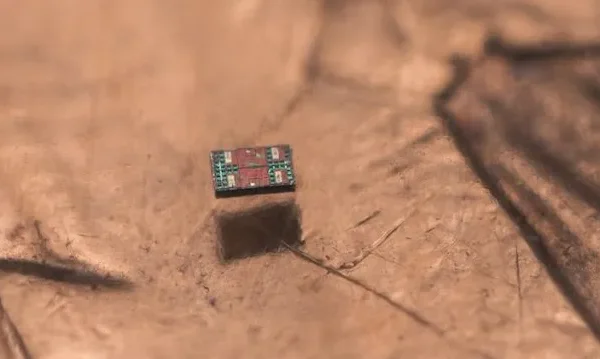 Questo robot è più piccolo di un granello di sale, ma si muove in autonomia e sa anche nuotare