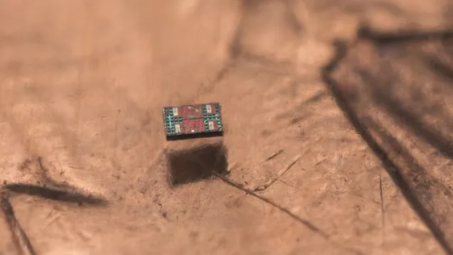 Questo robot è più piccolo di un granello di sale, ma si muove in autonomia e sa anche nuotare