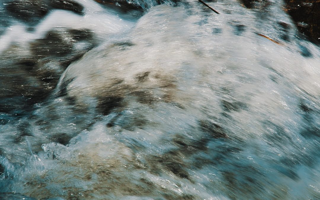 Dove vedere la docu‑serie di Taylor Swift online