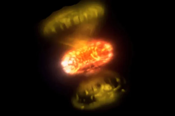 Nana bianca, abbiamo immortalato il momento in cui esplode rivelando il vero volto delle novae