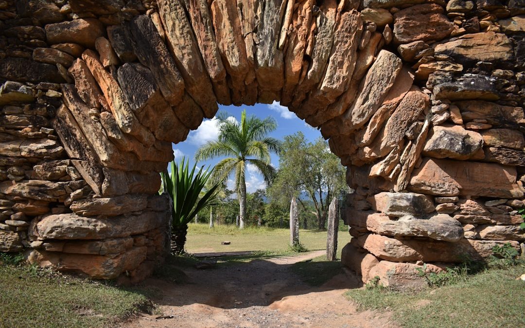 Recuperare il verbale 104 online