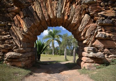 Recuperare il verbale 104 online