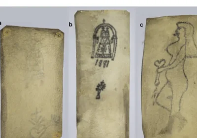 I frammenti di pelle conservati nella Collezione delle Cere Anatomiche a Bologna raccontano i tatuaggi del passato
