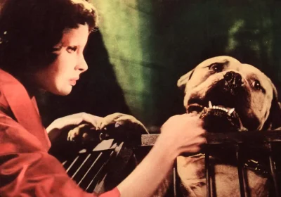 I film su RaiPlay che non ti aspetti, chicche insolite nel catalogo della piattaforma che sono tutte da scoprire