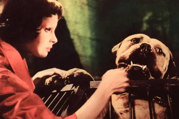 I film su RaiPlay che non ti aspetti, chicche insolite nel catalogo della piattaforma che sono tutte da scoprire