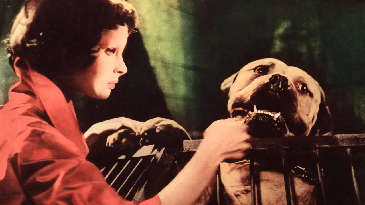 I film su RaiPlay che non ti aspetti, chicche insolite nel catalogo della piattaforma che sono tutte da scoprire