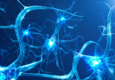 Come possiamo programmare i neuroni perché funzionino nei biocomputer?