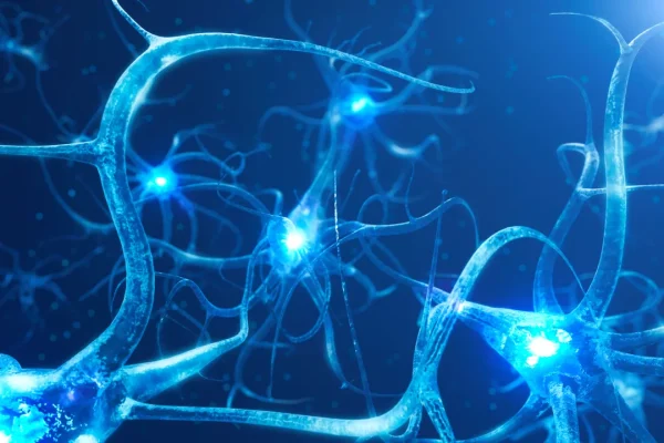 Come possiamo programmare i neuroni perché funzionino nei biocomputer?