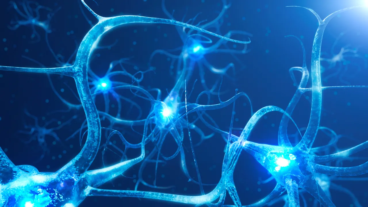 Come possiamo programmare i neuroni perché funzionino nei biocomputer?