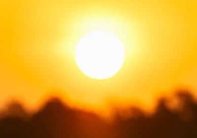 Quello del 2026 è ufficialmente il quinto mese di gennaio più caldo mai registrato nella storia