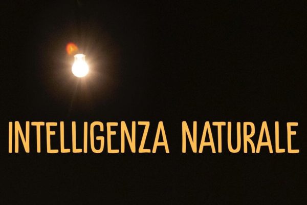 ANSA/ Andrea Pezzi, ‘si torni all’umano contro il declino delle democrazie’ – Notizie