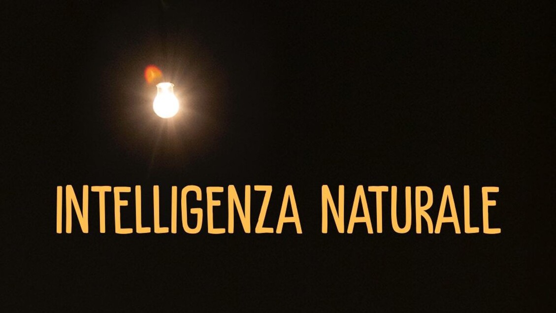 ANSA/ Andrea Pezzi, ‘si torni all’umano contro il declino delle democrazie’ – Notizie