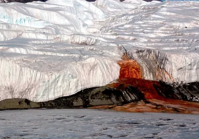È stato finalmente risolto anche l’ultimo mistero delle cascate di sangue in Antartide