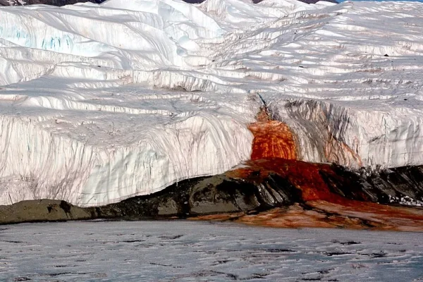 È stato finalmente risolto anche l’ultimo mistero delle cascate di sangue in Antartide