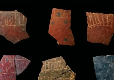 Un indizio sull’origine della geometria arriva da incisioni su frammenti di uova di struzzo vecchie di 60mila anni