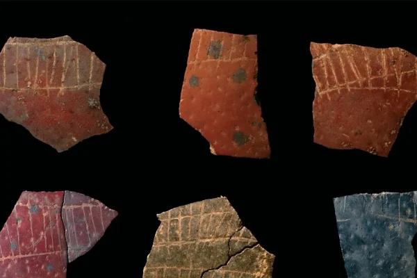 Un indizio sull’origine della geometria arriva da incisioni su frammenti di uova di struzzo vecchie di 60mila anni