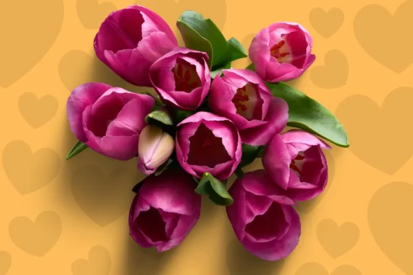 Fiori per San Valentino, come (e dove) ordinarli online