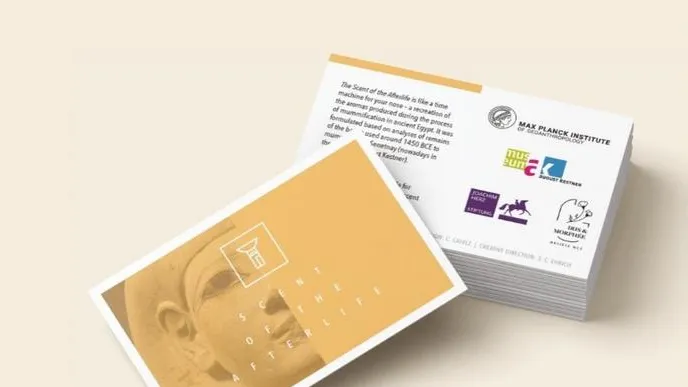 Che odore avevano le mummie? La biologia molecolare ricostruisce il profumo dell’antico Egitto