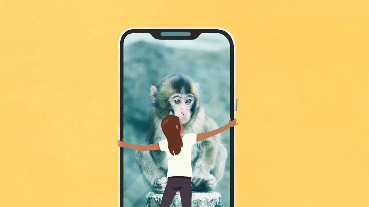 Punch e gli altri animaletti pucciosi di internet, ci sono ragioni scientifiche ben precise se ci emozionano così tanto