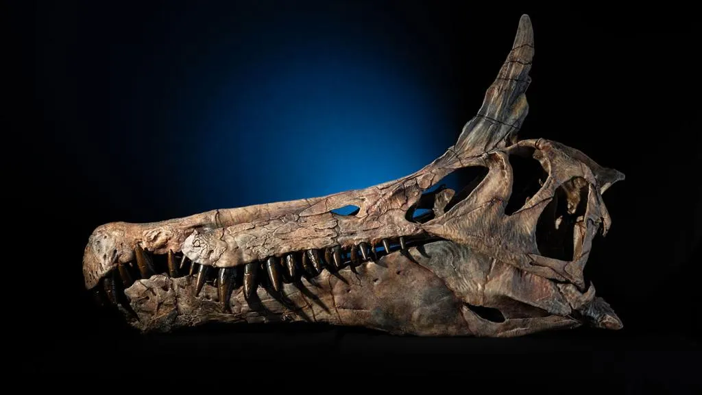 Spinosaurus mirabilis, ecco l’ultimo arrivato nella famiglia dei dinosauri con la cresta a scimitarra e un muso lunghissimo