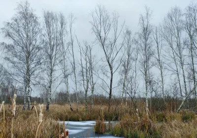 Dalla Groenlandia all’Ucraina, passando da Milano: le nature based solutions funzionano meglio con la nostra partecipazione