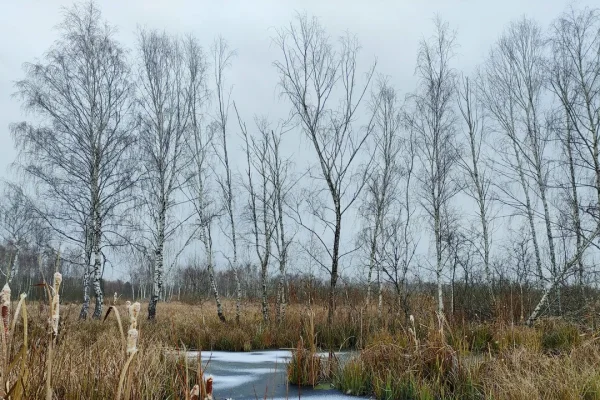 Dalla Groenlandia all’Ucraina, passando da Milano: le nature based solutions funzionano meglio con la nostra partecipazione