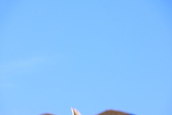 Come catturare Mesprit in Pokémon