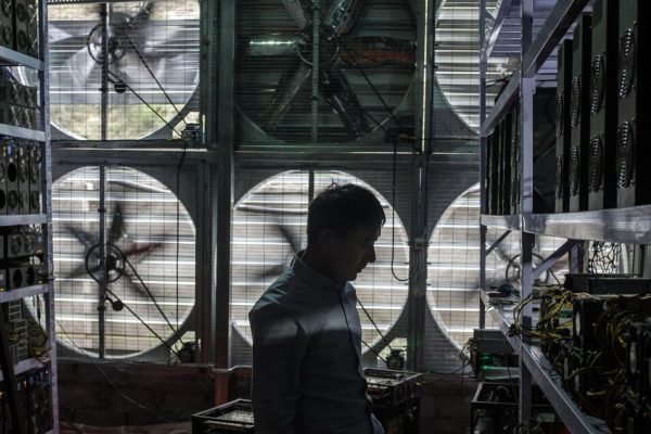 Ue, ‘entro l’anno proposta di legge per l’equità digitale’ – Notizie