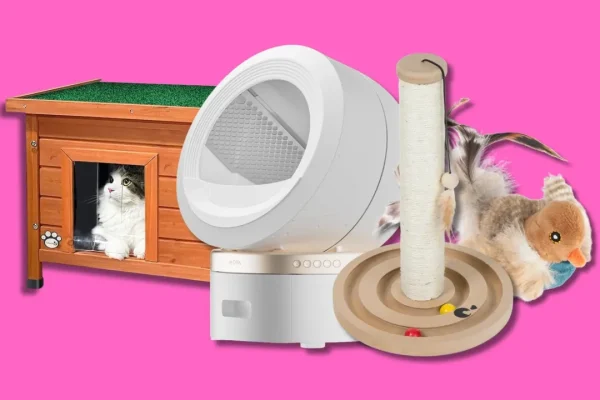 Giornata nazionale del gatto, come festeggiare il tuo felino con i suoi accessori preferiti