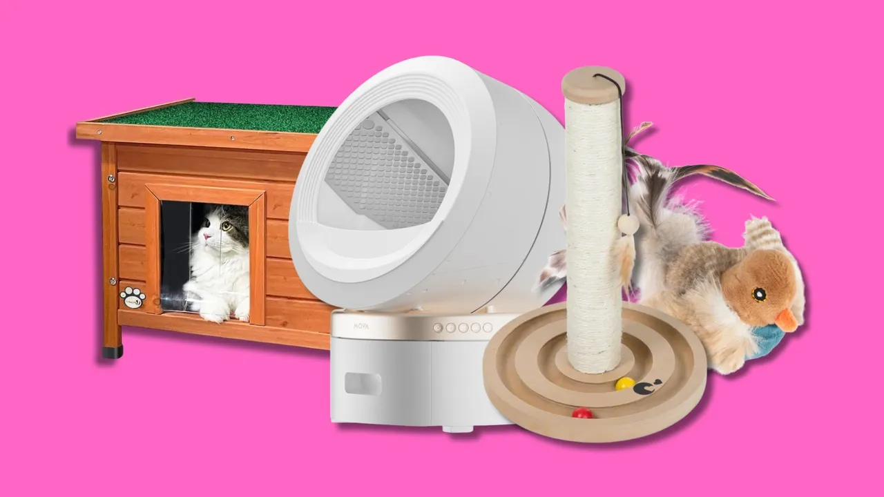 Giornata nazionale del gatto, come festeggiare il tuo felino con i suoi accessori preferiti