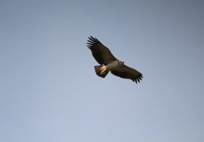 Migliori siti per prenotare voli online