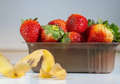 Perché le bioplastiche fanno fatica a emergere nonostante da anni si parli di economia circolare per il packaging