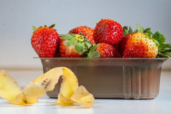 Perché le bioplastiche fanno fatica a emergere nonostante da anni si parli di economia circolare per il packaging