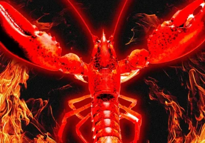 Moltbook è davvero popolato solo dalle AI? Mi sono infiltrato nel social del momento per scoprirlo