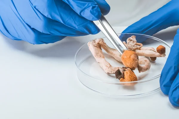 Dalla psilocibina all’Mdma, cosa sta cambiando nella ricerca sulle terapie psichedeliche per la salute mentale