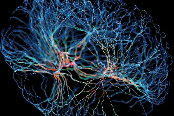 È stata rianimata per la prima volta l’attività elettrica nel cervello congelato di un topo