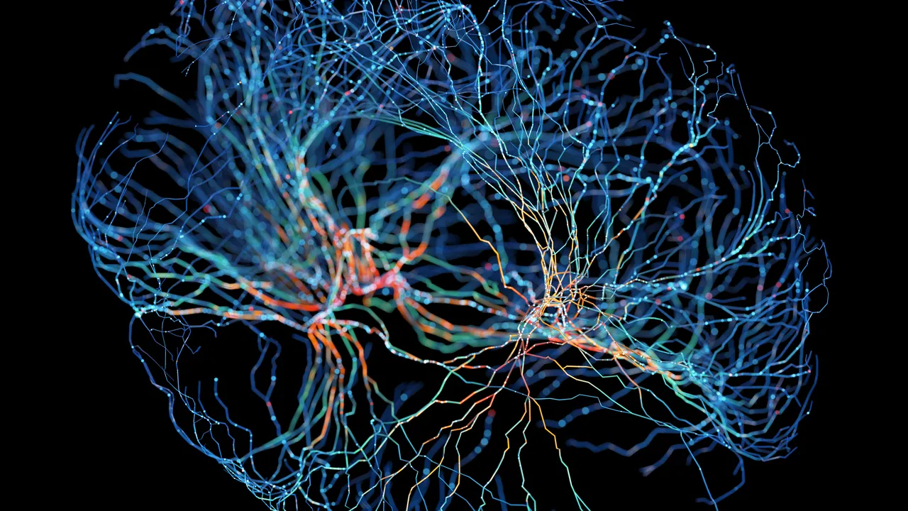 È stata rianimata per la prima volta l’attività elettrica nel cervello congelato di un topo