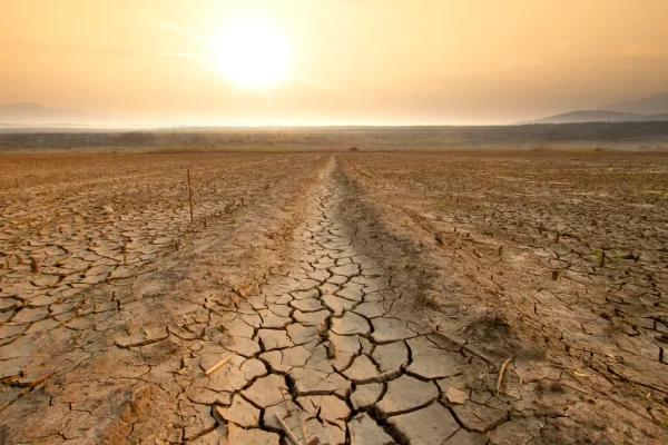 I meteorologi parlano della possibilità di un super El Niño in arrivo nei prossimi mesi, che porterebbe con sé eventi estremi