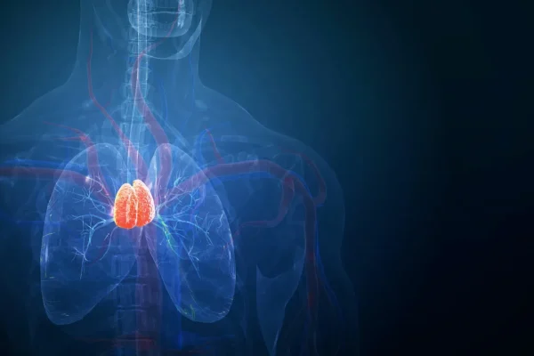 Nel nostro corpo c’è un piccolo organo che è stato un po’ trascurato, ma ora sappiamo che è fondamentale per il sistema immunitario