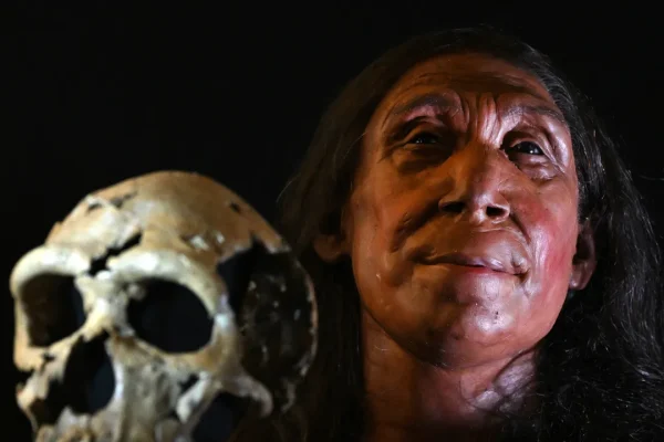 I Neanderthal usavano gli antibiotici? Più o meno, il catrame di betulla con cui medicavano le ferite era un antisettico naturale