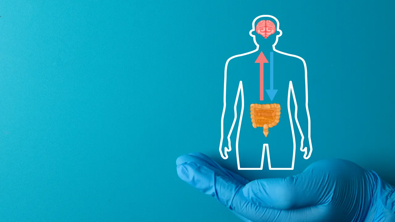 La memoria non è solo questione di testa, il “rumore di fondo” del corpo è essenziale per costruire nuovi ricordi