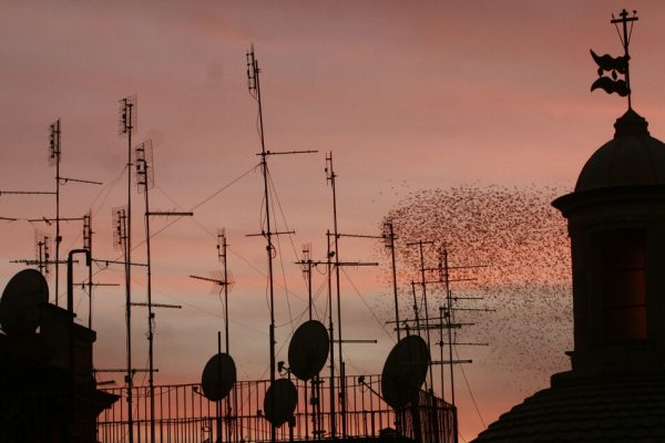 Tivùsat avvia il cambio tecnologico, stop alle smartcard ‘tiger’ nei prossimi mesi – Notizie