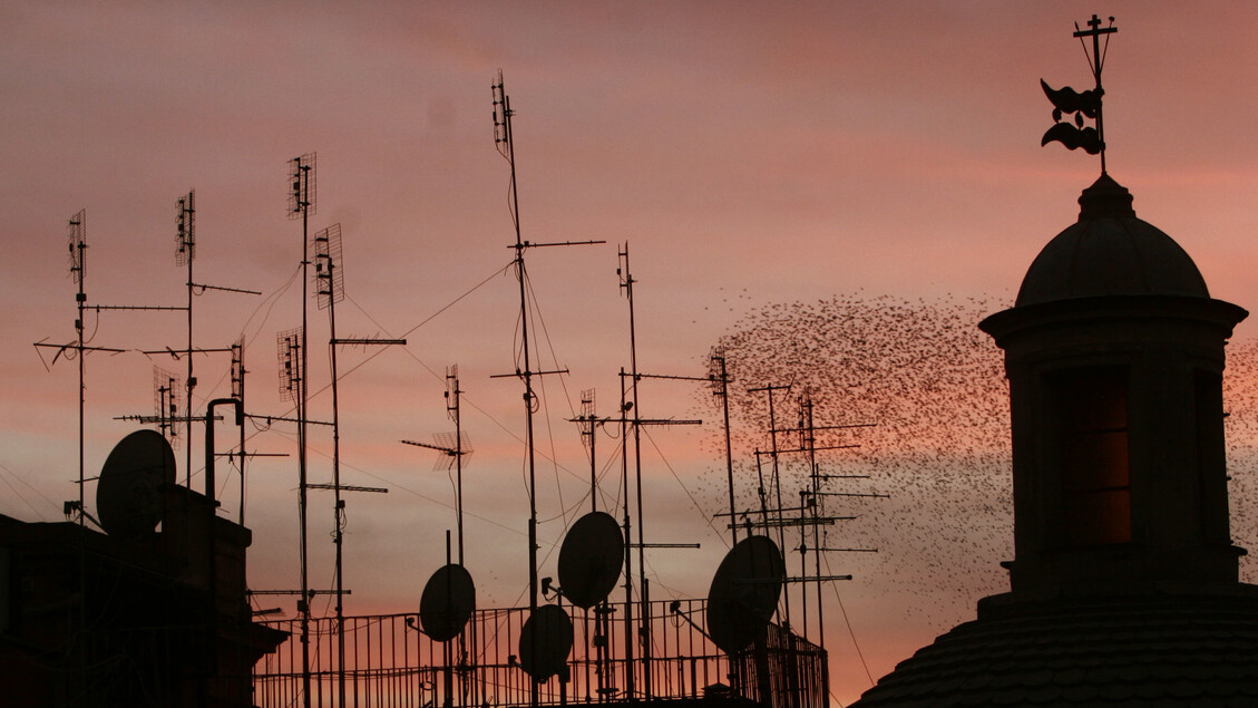 Tivùsat avvia il cambio tecnologico, stop alle smartcard ‘tiger’ nei prossimi mesi – Notizie